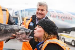 阿拉斯加航空货运公司开始鲑鱼季节-阿拉斯加空