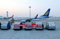 上海空运公司全球采购！众多企业打通海外渠道加大防疫物资供应