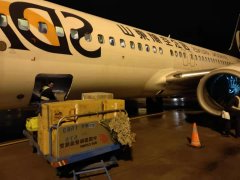 亚美尼亚的空运价格-柬埔寨支援中国抗击新型冠状病毒疫情 山航协助运输5.9